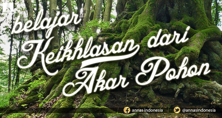 BELAJAR KEIKHLASAN DARI AKAR POHON