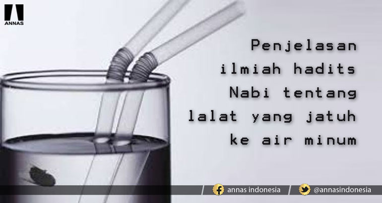 PENJELASAN ILMIAH HADITS NABI TENTANG LALAT YANG JATUH KE AIR MINUM 