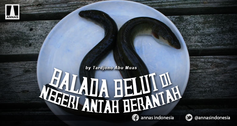 Balada Belut di Negeri Antah Berantah