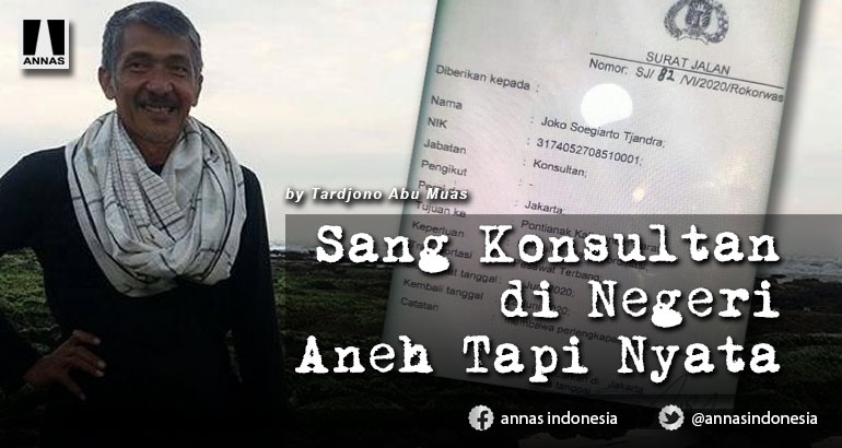 Sang Konsultan di Negeri Aneh Tapi Nyata
